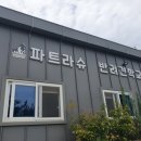 파트라슈반려견학교 이미지