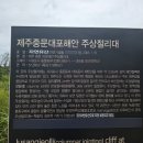 대포해안 | [제주도 여행]제주 중문 가볼만한곳 '대포해안 주상절리대' 방문 후기 (입장료, 시간, 소요시간, 주차)