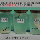 울산두부