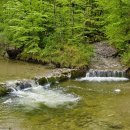 계곡의 아침 이미지