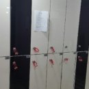 머슬앤라인 이미지