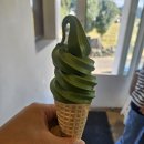 이시돌목장 | 제주도 여행 성이시돌목장 우유부단 방문 후기(목장구경, 말차아이스크림)