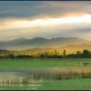 Cinema Paradise 이미지