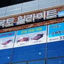 수목토일라이트예산 이미지