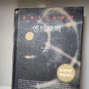 엔트로피 이미지