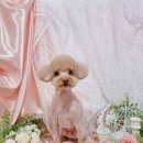 개인의 공간, 쉼 이미지