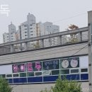 화이트 독 이미지