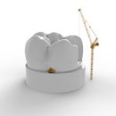 스타플란트치과의원 이미지