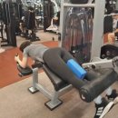 익스홀릭 가넷 이미지