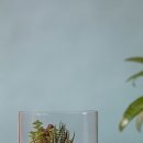 화유플라워앤원예치료센터