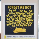 마동초교 이미지