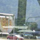 케언즈여행 팜코브 당일치기 + 누누 레스토랑