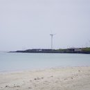 곶자왈거문오름 이미지