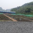 내동면시민텃밭 이미지