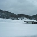 삼양목장 이미지