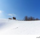 번개목장 이미지