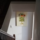 빌라드로이 이미지