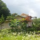 상면사무소 (2층) Daum카페