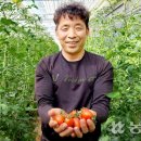 김경식농장 이미지