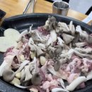 오리애반한가 이미지