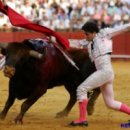 토로스(Toros)