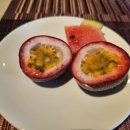 써니게임랜드 이미지