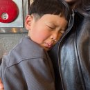 에피클로젯 | 6살 아들과 함께한 12월의 제주여행 - 하나