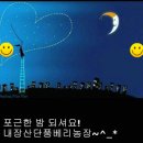 관정목장 이미지