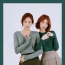 팔레트 이미지