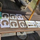 초록샘어린이집 이미지