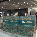 서울덮밥수원 | 용산역 한식 맛집 빠르쥬 덮밥강정 야구 관람 포장 추천 주말 오후 후기