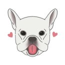 카페치올라