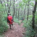 용강수정 이미지