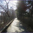 [3월 25일(수요일)]현충원 담장길과 까치산 숲길 트래킹 이미지