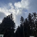 멍이올래 이미지