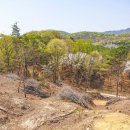 조비마을회관 이미지