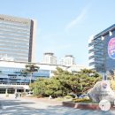 대구농업마이스터고등학교 수영장 이미지
