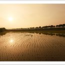 농부의 아침 이미지