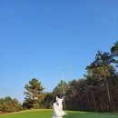 W-골프존 이미지