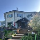 그랑샤리오 | 평창 그랑샤리오 대형견펜션 찐 추천 5년 단골 후기(소중대형견 가능)