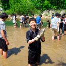 백두대간약초나라 이미지