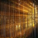 미라클 헬스클럽 이미지