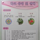 대구신매초등학교 이미지