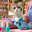 리코네일 - 남양주시 늘을2로 82-25 | 리코네일