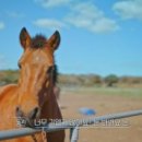 종은목장 이미지