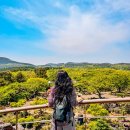 동쪽마을 | 제주동화마을 동쪽 송당리 동화마을 입장료 스타벅스 지브리