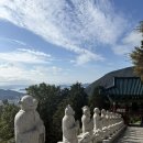 장복산길 | 🌸 창원 하루 힐링 코스 : 삼밀사 → 우리식당 → 유토커피 → 몬스터로스 우리동네 드라이브겸 산책코스