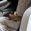 리리팜 부산 | 뒤죽박죽 (2-4월) 일상