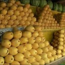 해변가민박 이미지