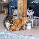 읍내리(인서리)공원 이미지